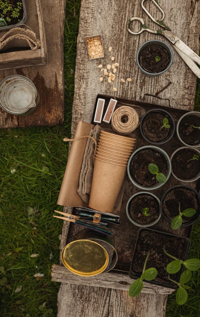 When starting a fall vegetable garden remember to select your seeds that will grow in your cottagecore garden. This image shows seedlings in their starter pots besie a trowel, grass and watering can to show someone is preparing to transfer their seeds to the ground.
